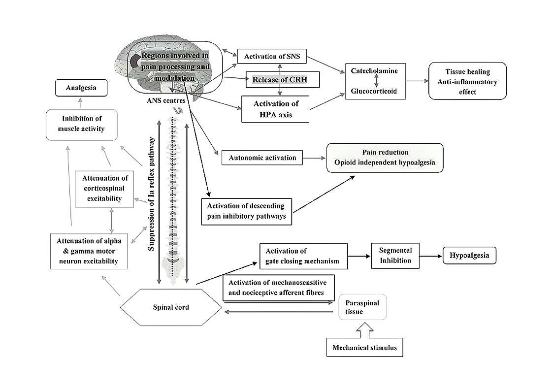 HVLA Research Flowchart